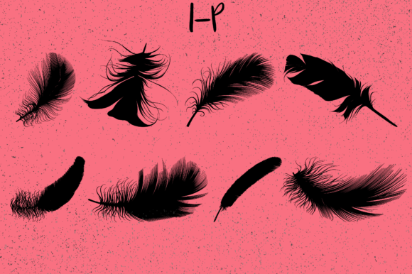 Feathers Font - Preview 2