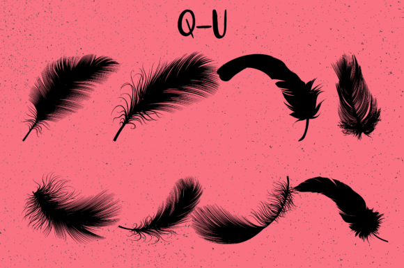 Feathers Font - Preview 3