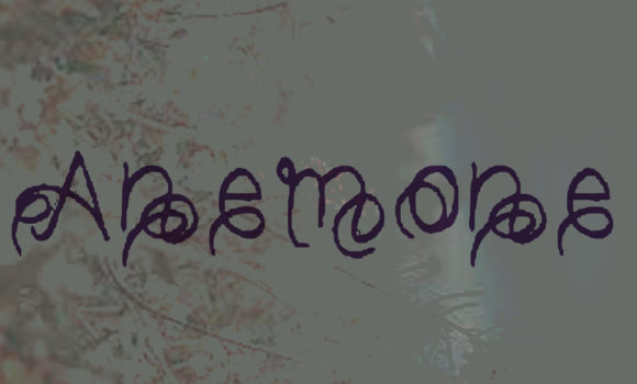 Anemone Font - Preview 1