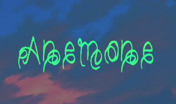 Anemone Font - Preview 2