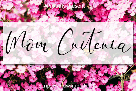 Mom Criteria Font PNG with transparent background - Preview 1