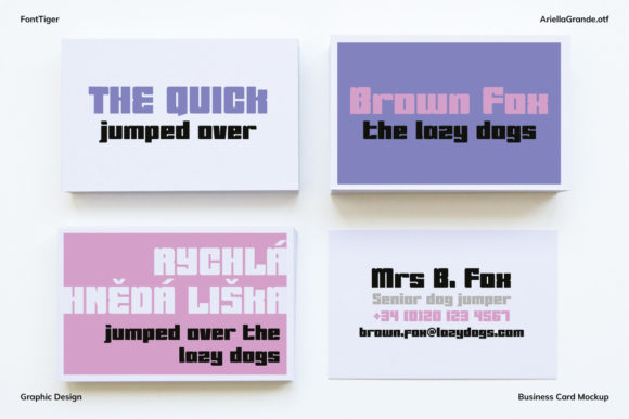Ariella Grande Font - Preview 2