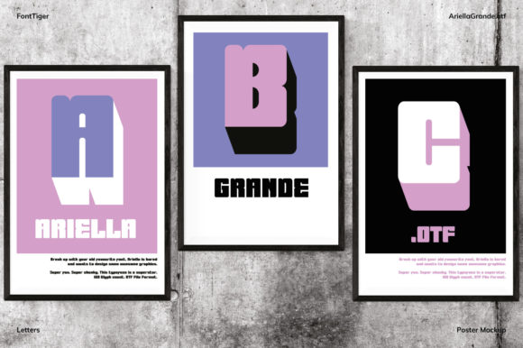 Ariella Grande Font - Preview 5