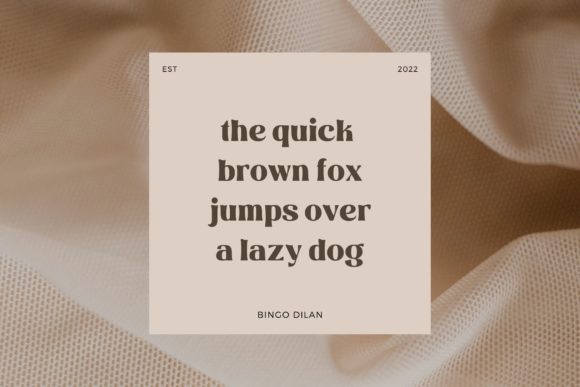 Bingo Dilan Font - Preview 6