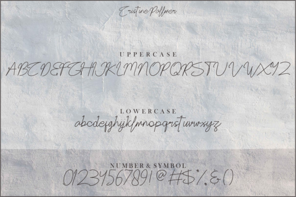Christine Pallmer Font - Preview 5