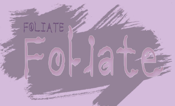 Foliate Font - Preview 2