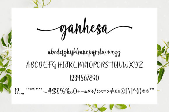 Ganhesa Font - Preview 4