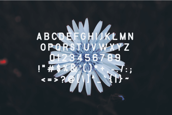 Mandeala Font PNG with transparent background - Preview 2