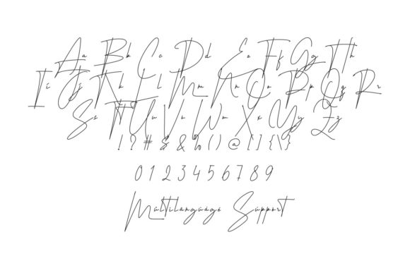Ohio Signature Font PNG with transparent background - Preview 4