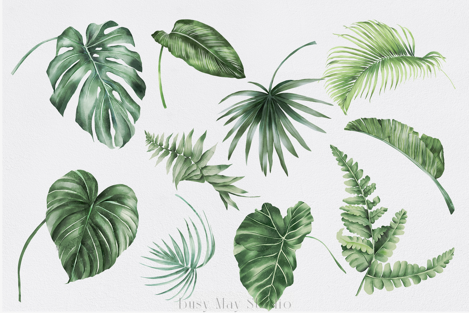 Tropical Greenery Jungle Rainforest PNG - photo 4