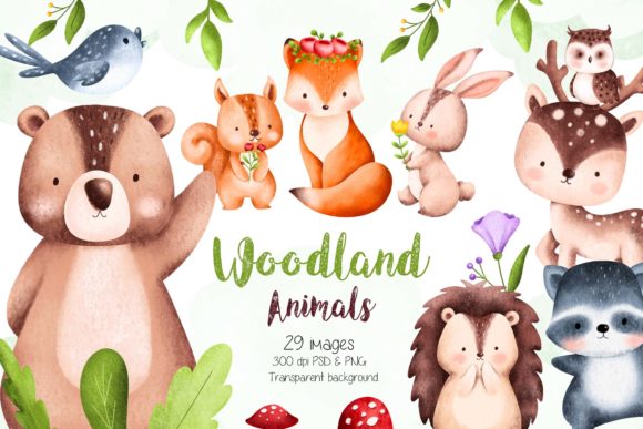 Woodland-Animal-and-Nature-Elements-Grap