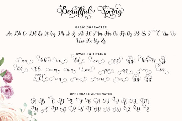 Beautiful Spring Font - Preview 6