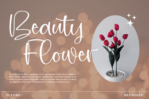 Fantasy Emilia Font PNG with transparent background - Preview 2