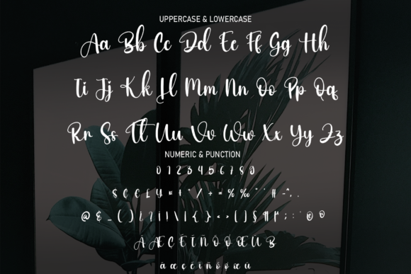 Ballimore Font - Preview 6