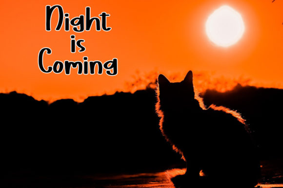 Hello Wkwk Font PNG with transparent background - Preview 3