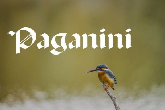 Paganini Gebrochene Schriftarten Schriftart Von Freebies