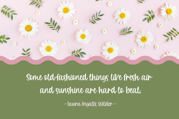 Pink Garden Font PNG with transparent background - Preview 2