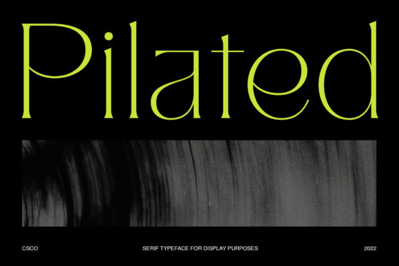 Pilated Modern Serif Typeface Fonts