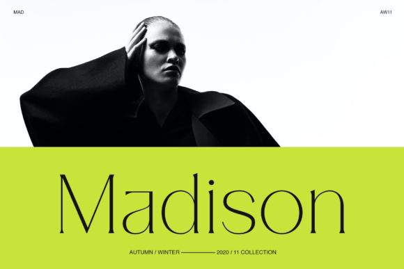Pilated - Modern Serif Typeface Font PNG with transparent background - Preview 1