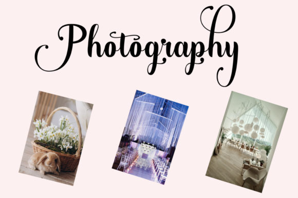 Sajicl Font PNG with transparent background - Preview 1
