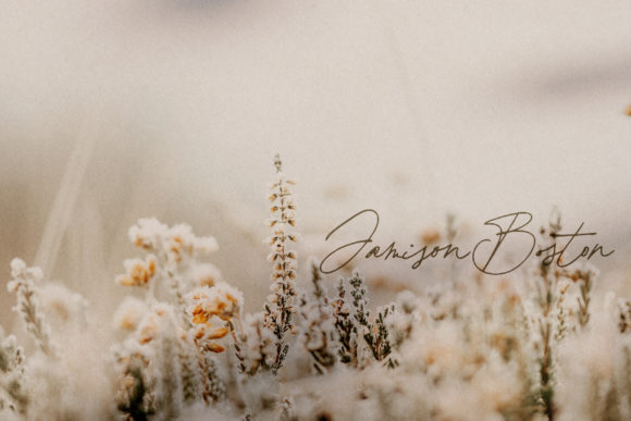 Bourdeilles France Font - Preview 4