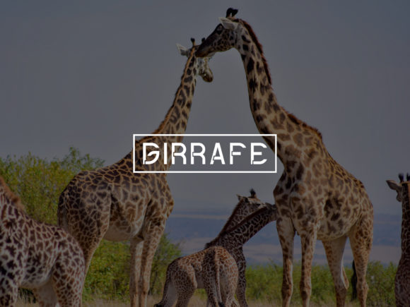 Clamarine Font - Preview 5