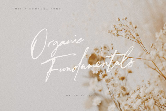 Emilia-Romagna Font - Preview 1