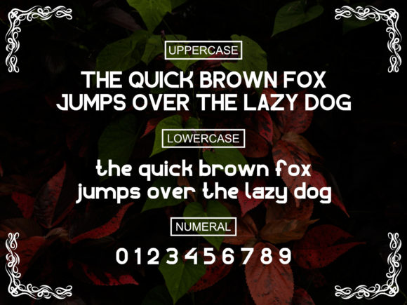 Ergodiva Font PNG with transparent background - Preview 1