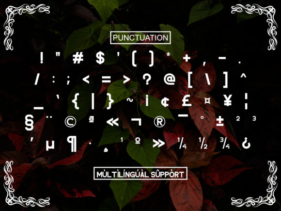 Ergodiva Font PNG with transparent background - Preview 2