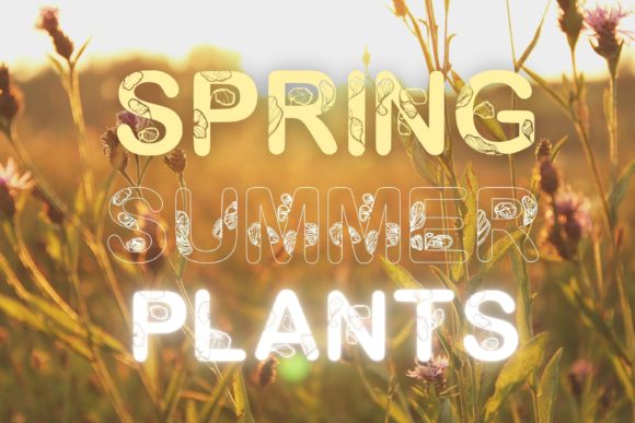 Floral Lover Font PNG with transparent background - Preview 1