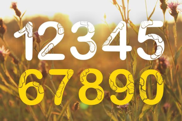 Floral Lover Font PNG with transparent background - Preview 3