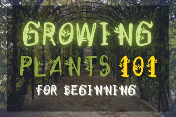 Plant Power Font PNG with transparent background - Preview 1
