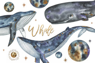 Underwater Creatures Whales and Space
