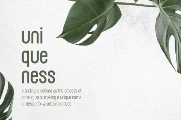 Alina Font - Preview 4