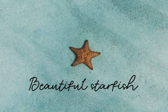Beach Font - Preview 4