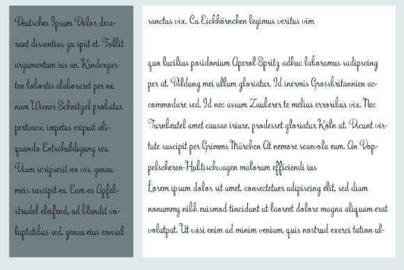 Bunchberry Font - Preview 6
