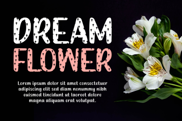 Dream and Reality Font - Preview 2
