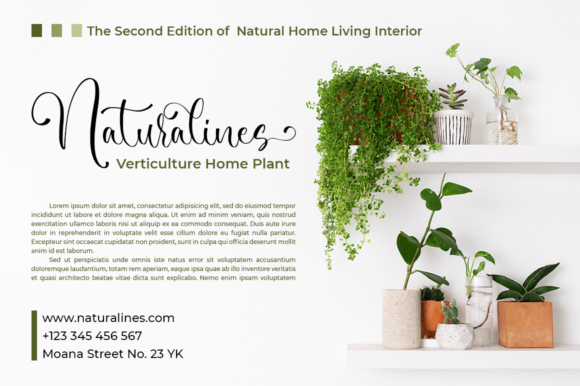 Ambiance Font - Preview 4