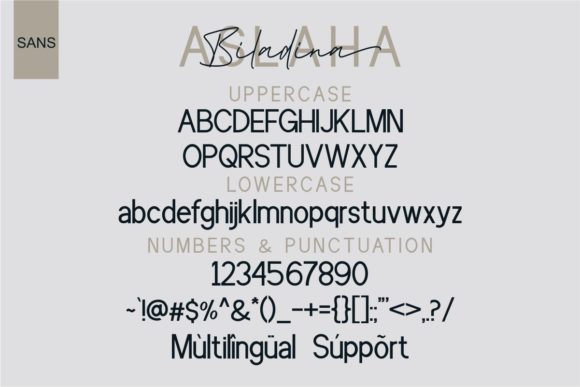 Aslaha Biladina Font - Preview 5