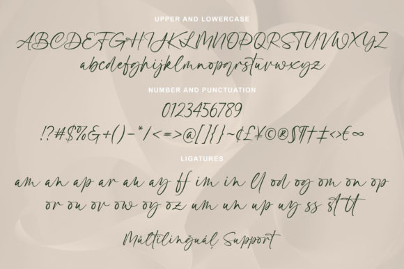 Cantiqu Stand Font - Preview 6