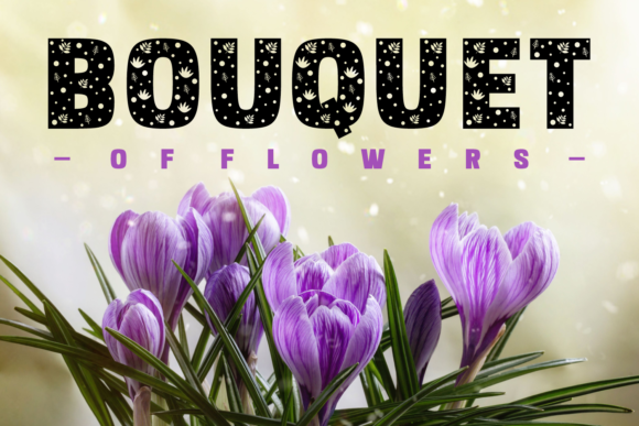 Novan Duo Font font preview - 4