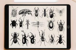 100 Insect Procreate Brush Stamp Graphic by tattooworker · Creative Fabrica