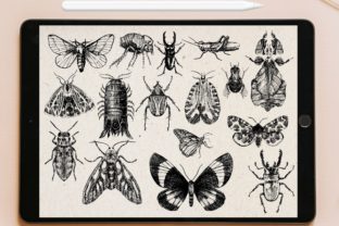 100 Insect Procreate Brush Stamp Graphic by tattooworker · Creative Fabrica