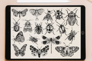 100 Insect Procreate Brush Stamp Graphic by tattooworker · Creative Fabrica
