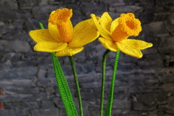 Daffodil