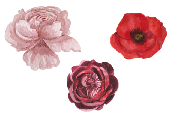 Watercolor Flowers Collection Graphic Nature By Happiness on paper