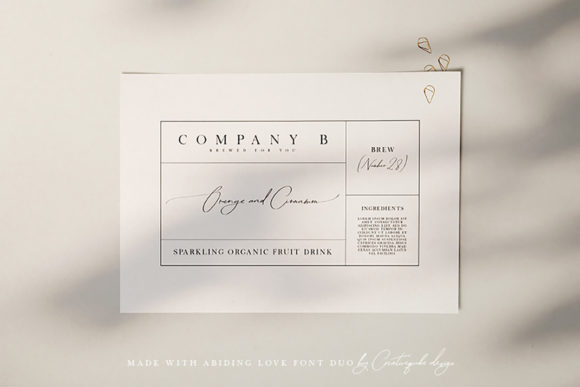 Abiding Love Font - Preview 1