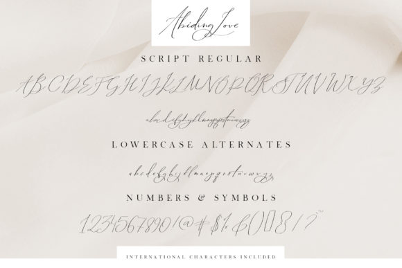 Abiding Love Font - Preview 2