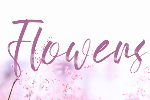 Butterfly Font - Preview 4