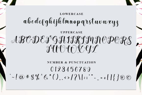 Flourish Font - Preview 3